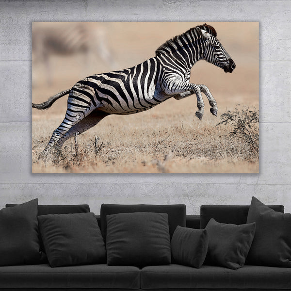 Artistic Zebra