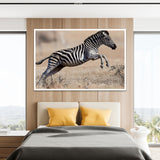 Artistic Zebra